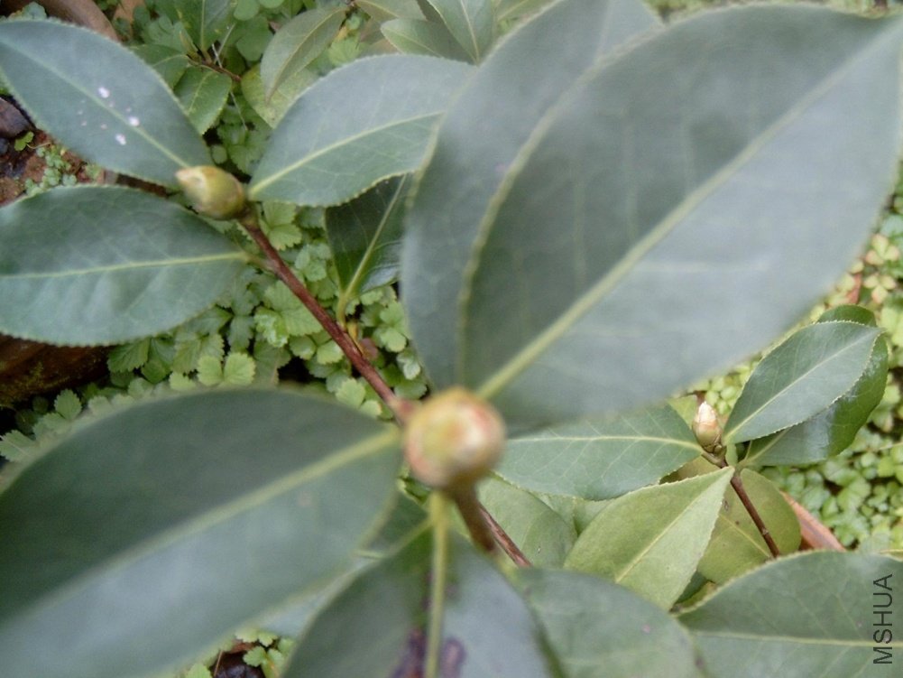 ��ࣨ���㣩����