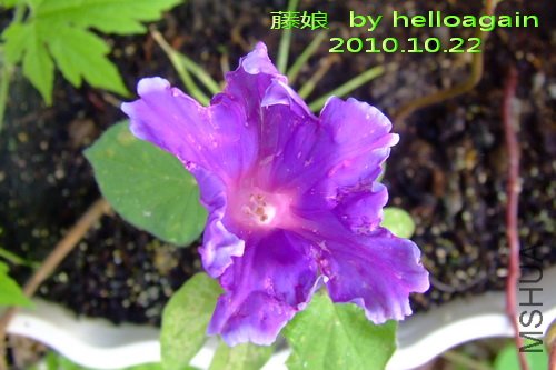 2010��10��22�� ���� 2.jpg