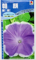 ���� ��׼ɫ.jpg