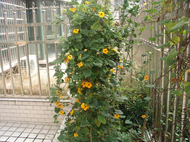 DSC02022.JPG