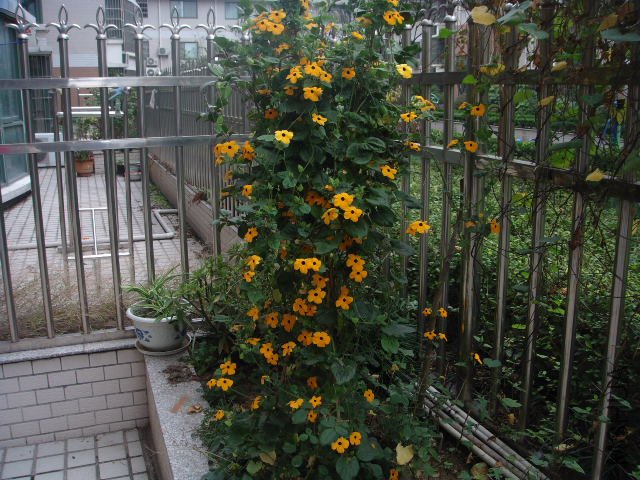 DSC02138.JPG