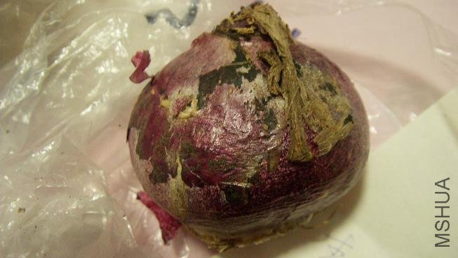 ���Ҳ�к�ù�ߣ����ٵ㡣