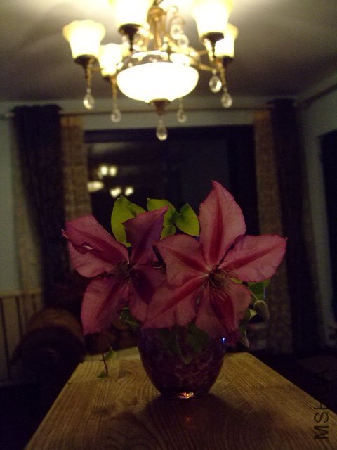 DSCF0152.JPG