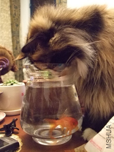 DSCF0162.JPG