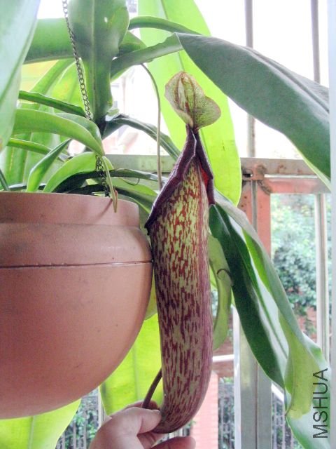 ���� 028.jpg