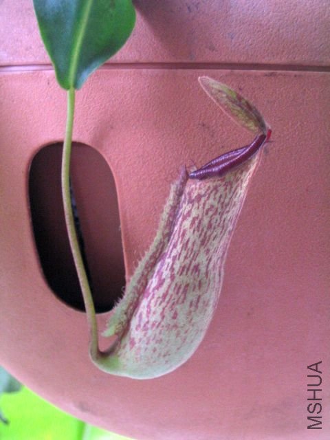 ���� 030.jpg