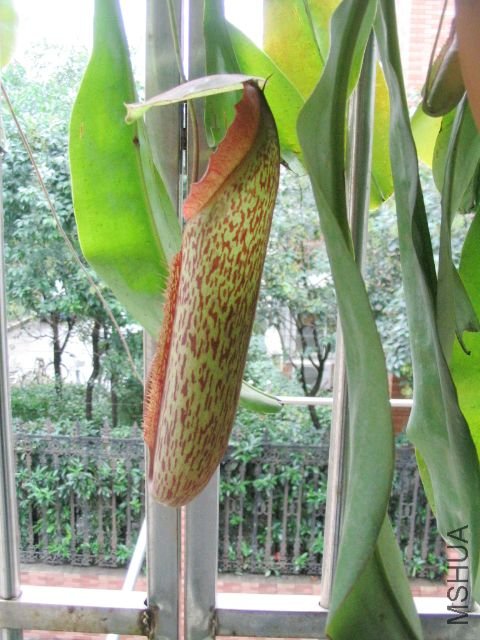 ���� 029.jpg