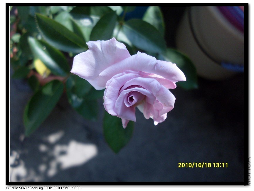 SDC15750_nEO_IMG.jpg