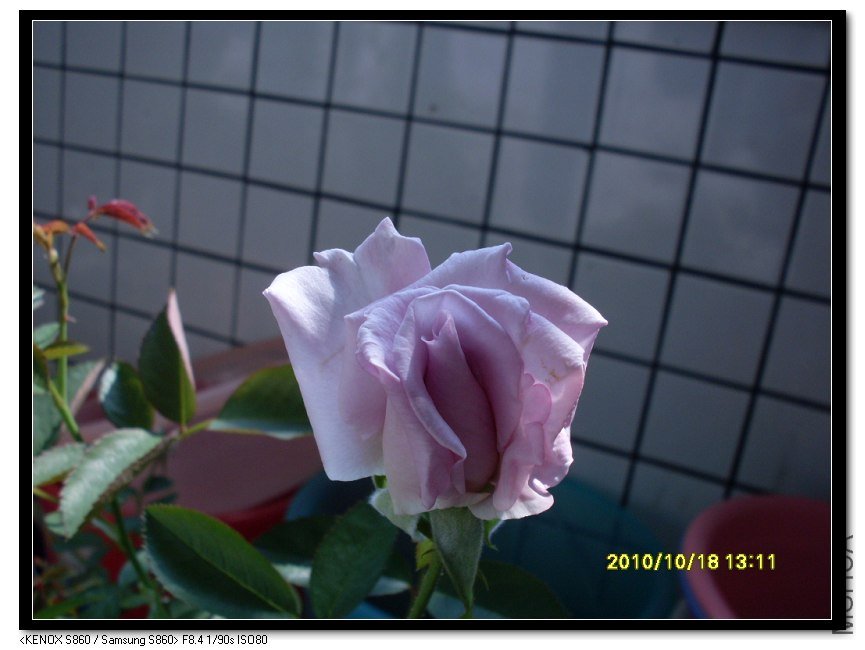 SDC15753_nEO_IMG.jpg