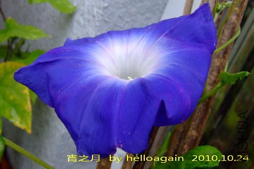 ��֮�� 2.jpg