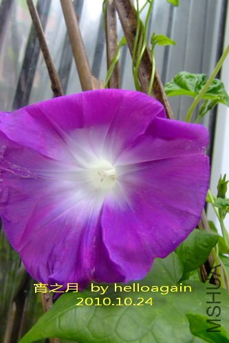 ��֮�� 3.jpg