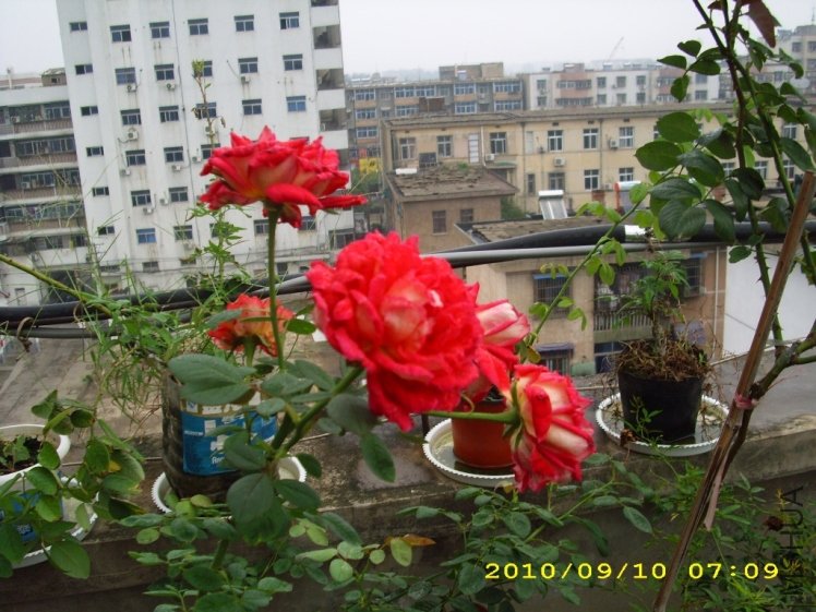 IMG_4125.JPG
