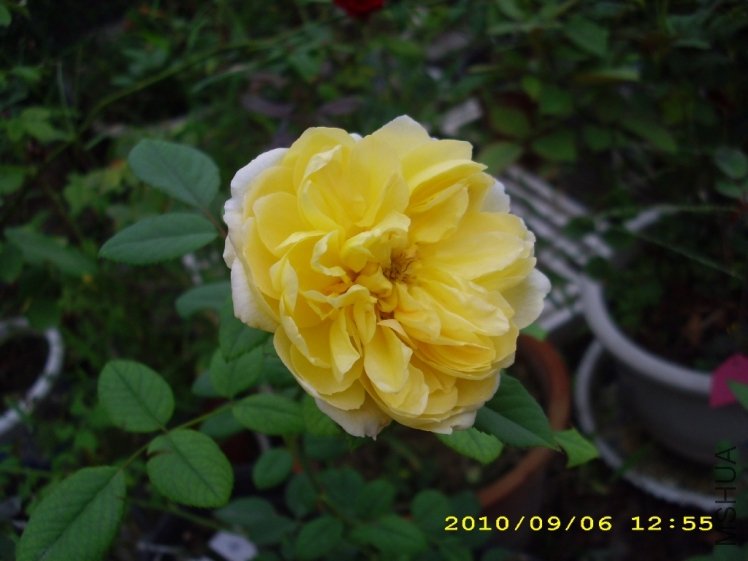 IMG_4122.JPG