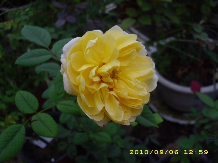 IMG_4123.JPG