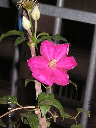 PICT0001.JPG