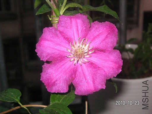 PICT0016.JPG