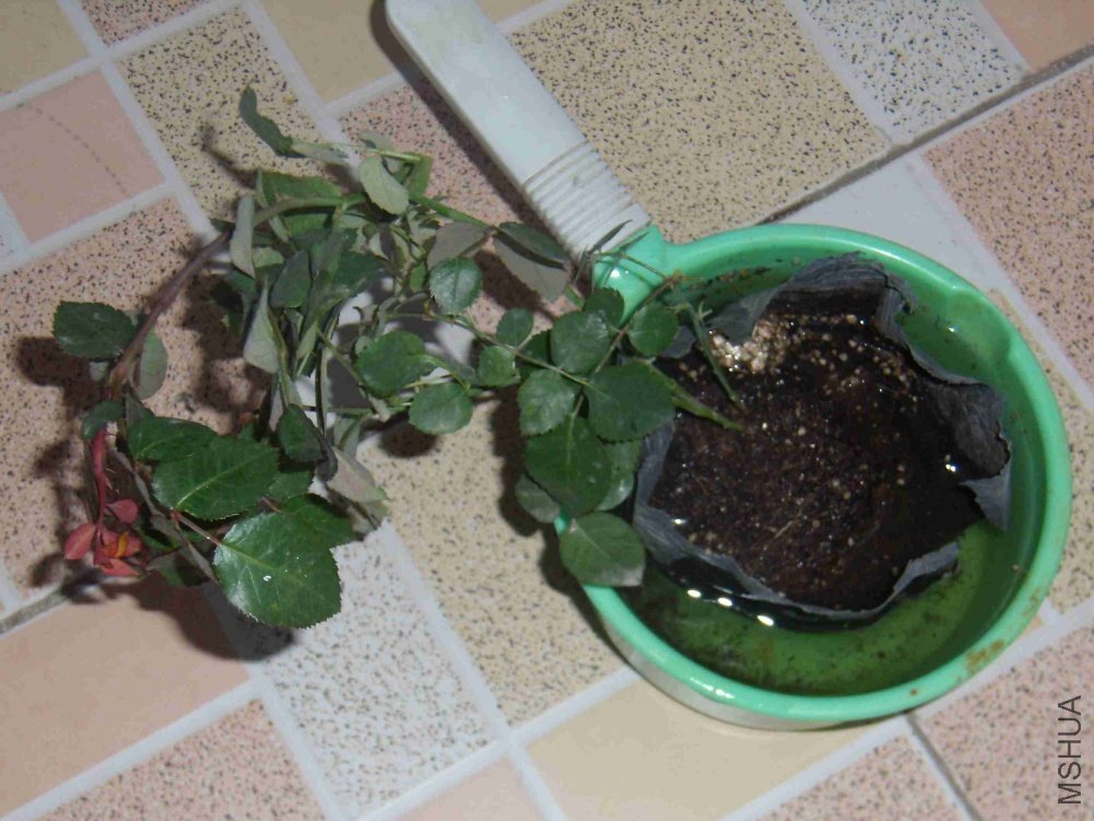 2010_1025-033.jpg