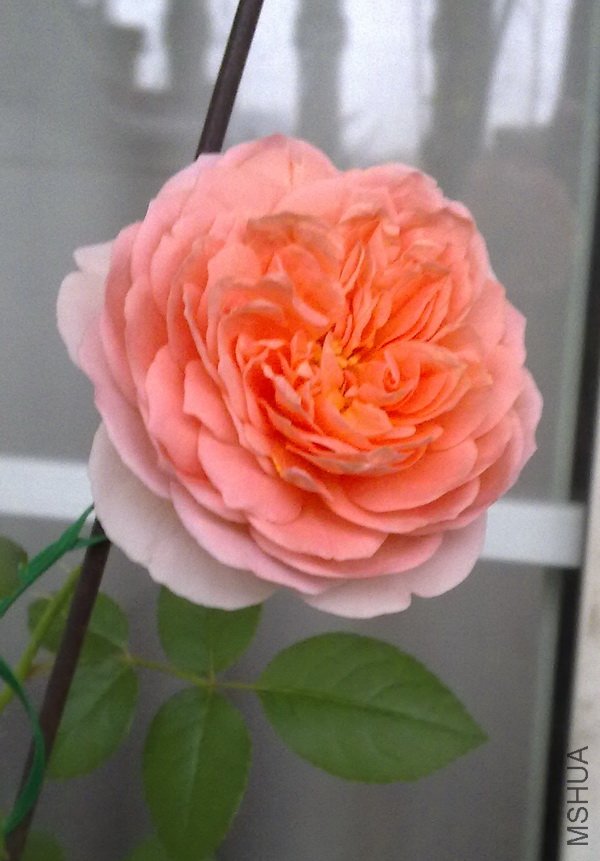 20101022318.jpg