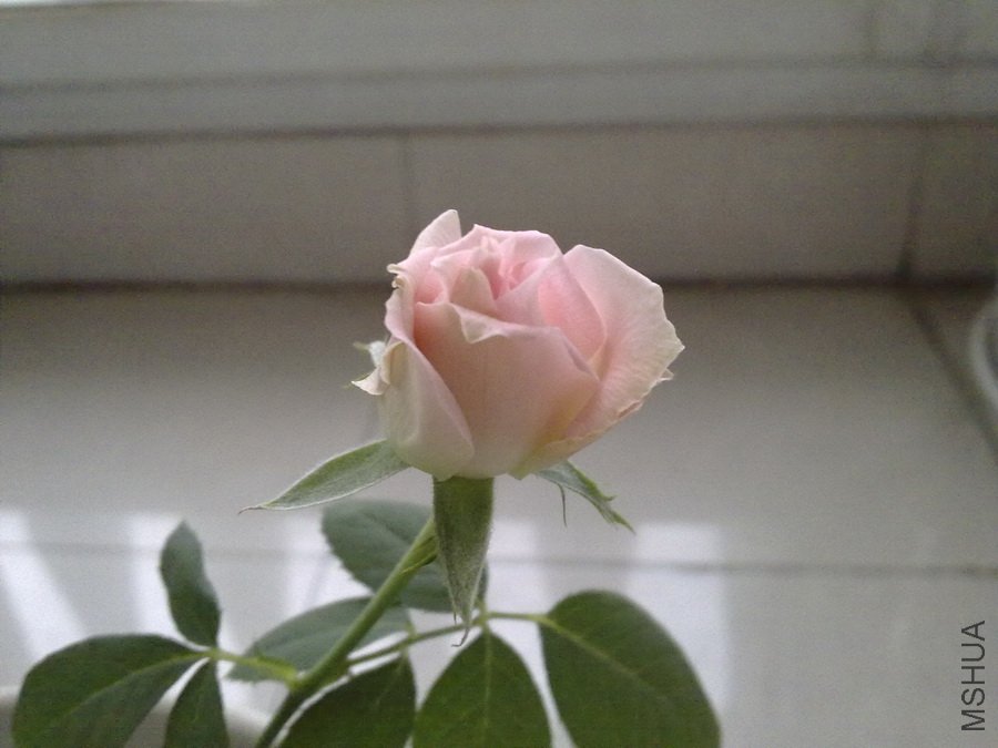 20101022310.jpg