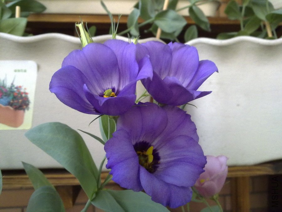 20100820250.jpg