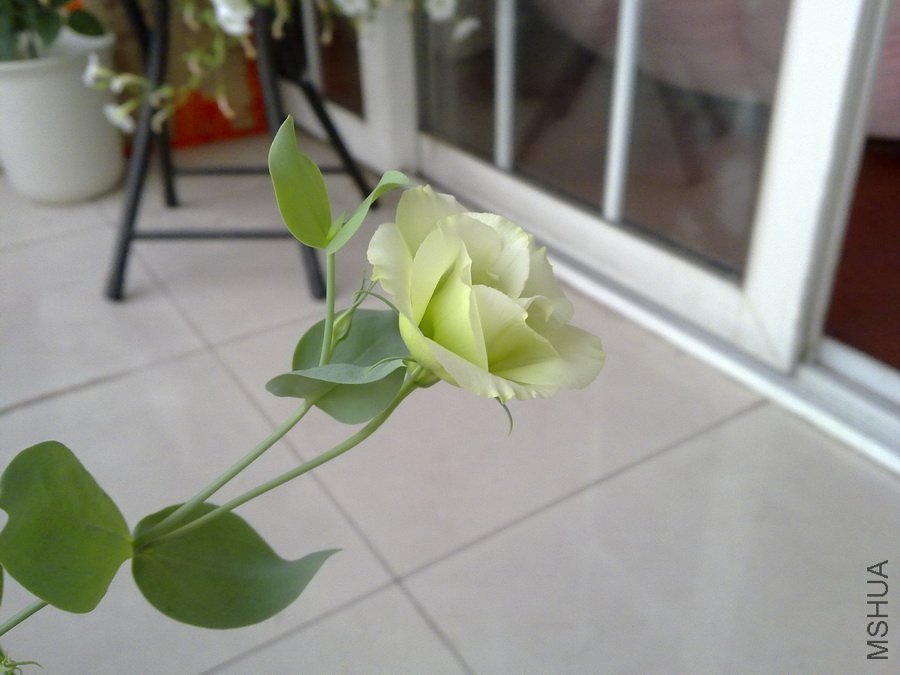 20100827264.jpg