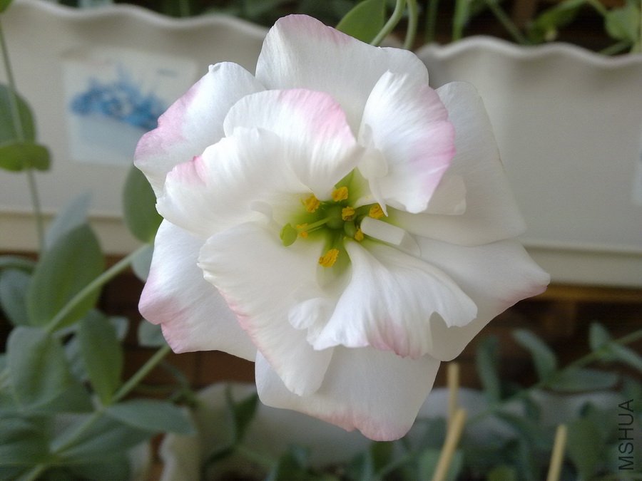 20100905269.jpg