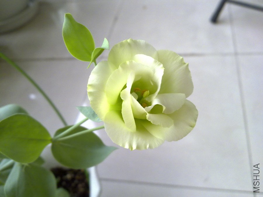 20100827263.jpg
