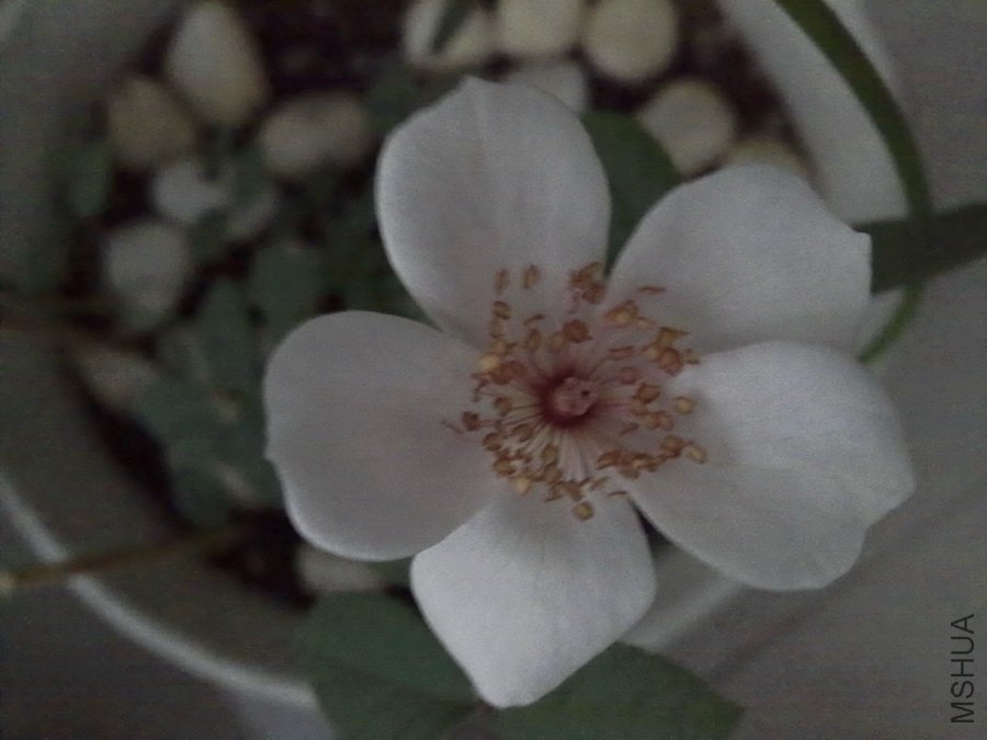 20101013283.jpg