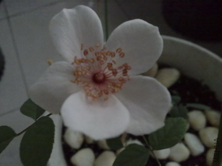 20101013287.jpg