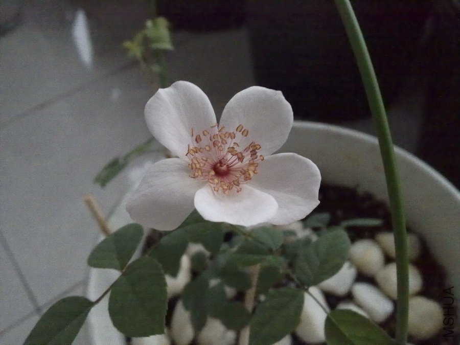20101013288.jpg