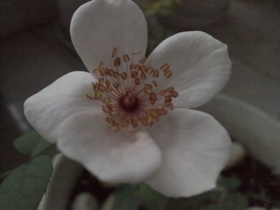 20101013284.jpg