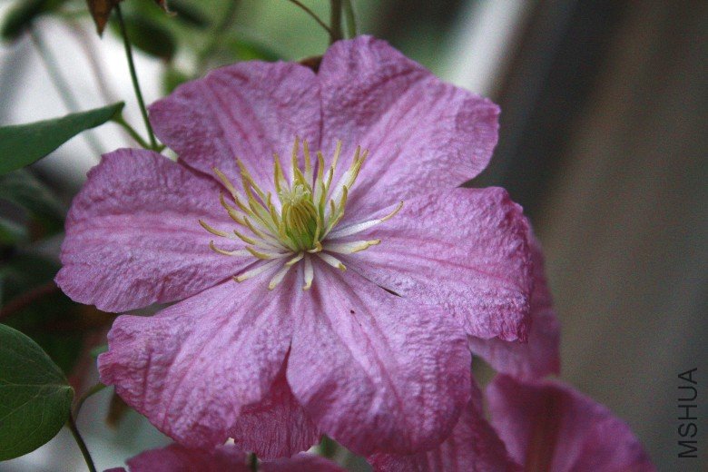 �εڿ��ŵĲ��� (4).JPG