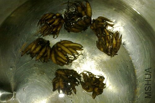20101009162.jpg