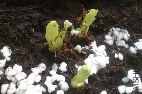 20101024234.jpg