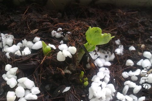 20101024235.jpg