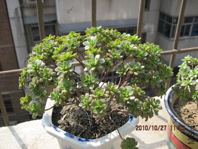 IMG_0786.jpg