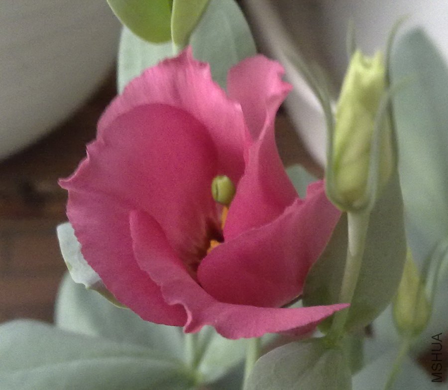 20100816232.jpg