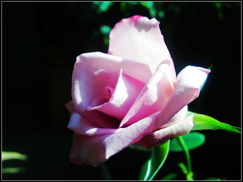 20101023325.jpg
