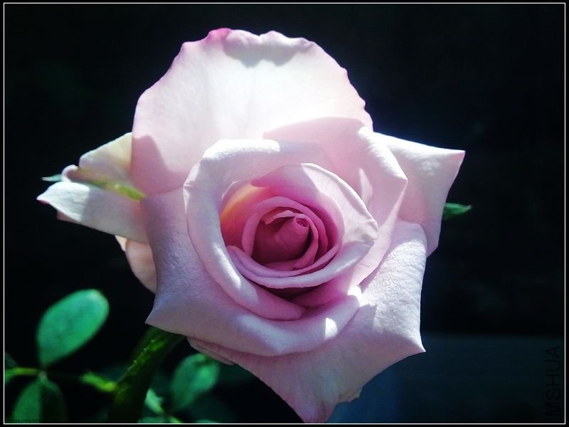 20101023320.jpg
