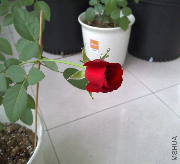 20101029337.jpg