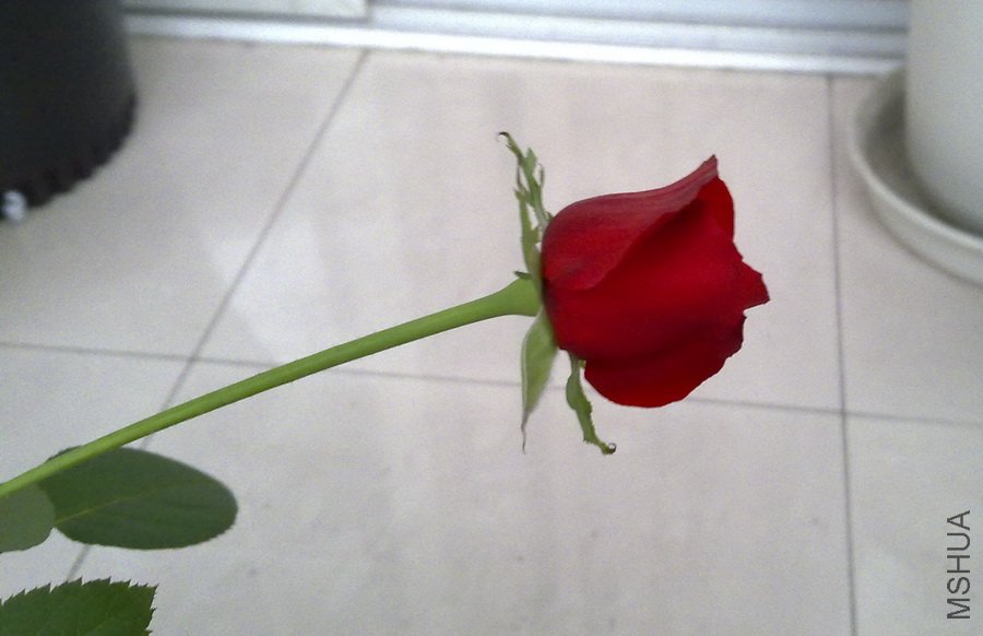20101029335.jpg