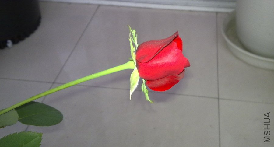 20101029334.jpg