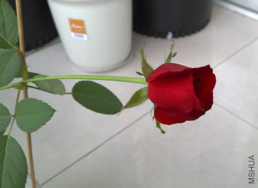 20101029336.jpg