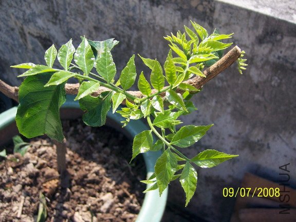 ��Ƭ 136(576).jpg