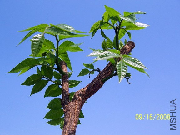 ��Ƭ 190(576).jpg