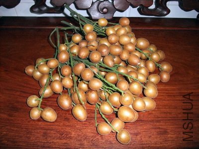 ��Ƭ 847(400).jpg