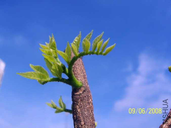 ��Ƭ 053(676).jpg