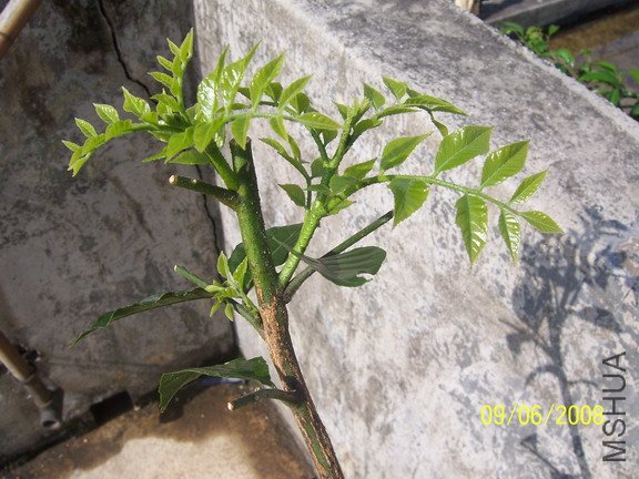 ��Ƭ 044(576).jpg