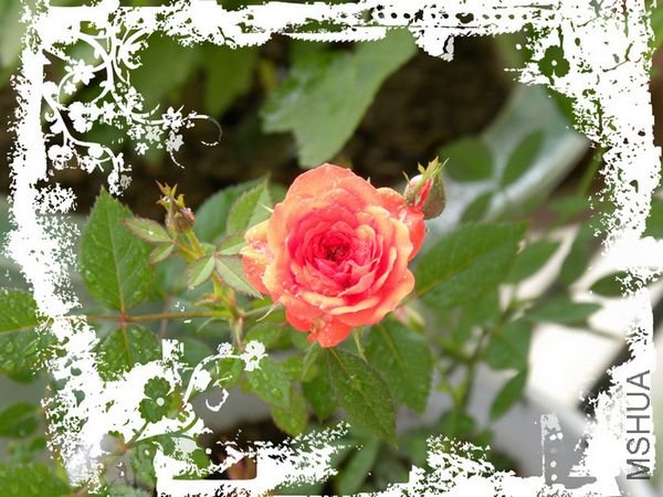 DSCN0421.JPG