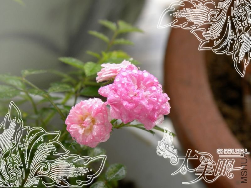 DSCN0404.JPG